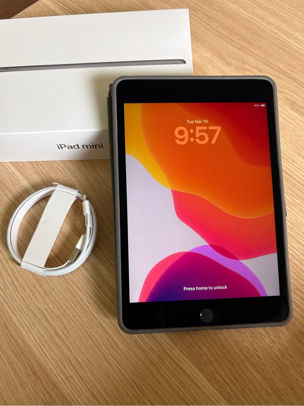 Apple iPad Mini in Space Gray with Case